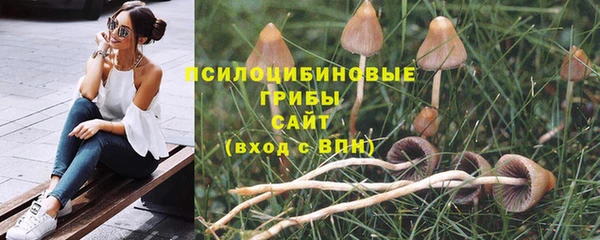 трава Алзамай