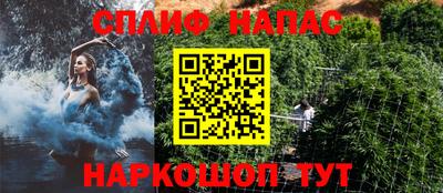 jwh Новозыбков