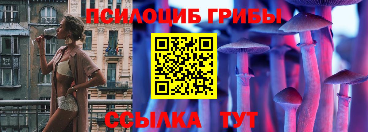 Туймазы  Псилоцибиновые грибы прущие грибы  Галлюциногенные грибы прущие грибы  Вход с VPN 